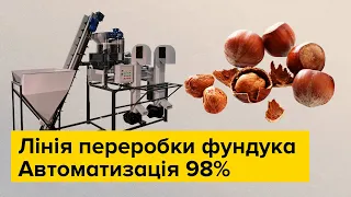 Лінія переробки фундука 200 кг на годину. Лущення та сортування, повна автоматизація