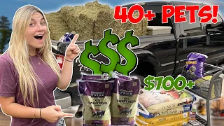 Buying Feed For ALL MY PETS IN ONE VIDEO | How Much It Costs To Feed 40+ ANIMALS!