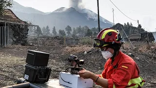 La Palma: Lava, Asche und Hilfeaufruf für eine eingeschlossene Katze