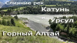 Слияние горных рек Катунь и Урсул, июль 2020 | Altay