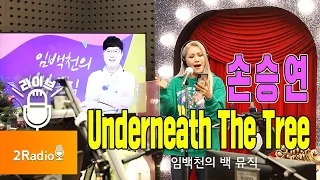 [Live] Underneath The Tree _ 손승연 [임백천의 백 뮤직] | KBS 211214 방송