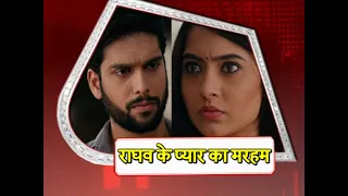 Mehndi Hai Rachne Wali: WHAT! Raghav FALLS IN LOVE For Pallavi?