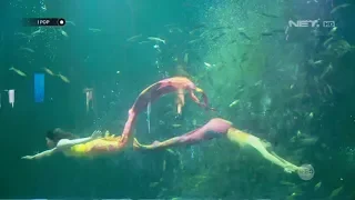 Atraksi Mermaid di Ocean Dream Ancol - IPOP