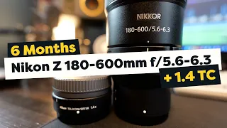 6 Months with the Nikon Z 180-600mm f/5.6-6.3, and with the 1.4x Teleconverter