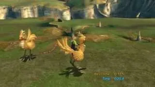 Final Fantasy X HD - Chocobo Training