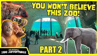 THE MOST INCREDIBLE ZOO IN THE WORLD! (Pairi Daiza) PART 2 with @KINOVAReptiles