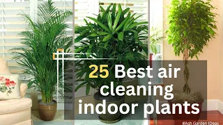 Top 25 best indoor plants for clean air | air purifying indoor plants | best indoor plants |#plants