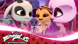 MIRACULOUS 🐞 EL ARENERO - Los Kwamis 🐞 Las Aventuras de Ladybug