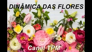 Dinâmica das Flores - Super diferente