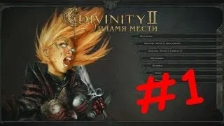 DrunkGamer в Divinity 2: Посвящение в охотники. #1