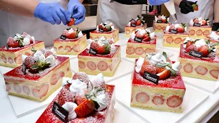딸기 왕창 쏟아부은 디저트 끝판대장!?꾸덕한 크림이 예술! 프레지에,떠먹는케이크 | How Strawberry Fraisier cake is Made | Korean Dessert