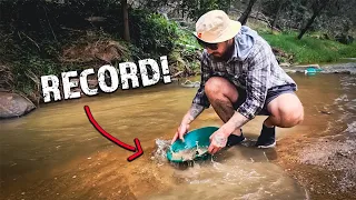 One VERY Dumb Mistake | Biggest Gold Find of the Year!