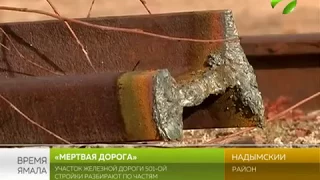 История - в опасности. Участок 501 стройки разбирают по частям