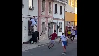 ESPECTACULAR COGIDA EN EL ENCIERRO DE LODOSA