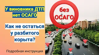 Виновник ДТП без ОСАГО. Как получить возмещение ущерба? Подробная инструкция