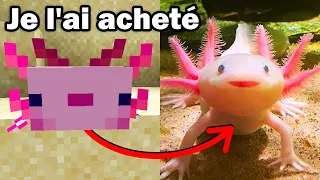 J'ai acheté un AXOLOTL de Minecraft dans la VRAIE VIE ! (Cet animal est complètement fou)