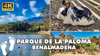 Explore BENALMÁDENA Parque de la Paloma ► Walking Tour 4K ►