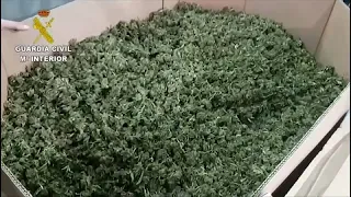 Espagne : 32 tonnes de cannabis saisies, un record mondial selon la police