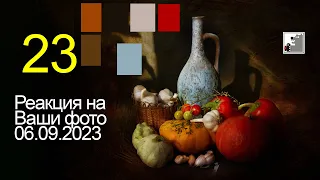 Реакция на Ваши фото 23