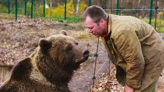 Russian Pilots Picked Up A Little Bear 5 Years Ago, Now It Only Recognizes Human Fathers