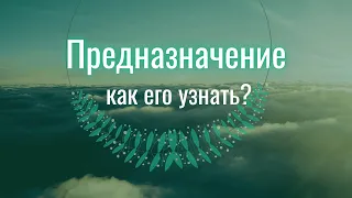 Предназначение, как его узнать? А зачем я здесь на Земле?