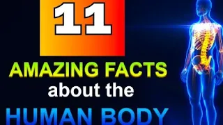 Top 11 Mind-Blowing Fact About Human Body | EduVision | Part-1