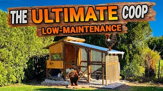 EASY Low-Maintenance CHICKEN COOP | DIY | TIMELAPSE