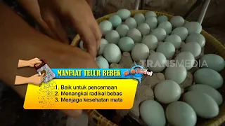 TELUR ASIN CRISPY | JEJAK SI GUNDUL (22/04/24)