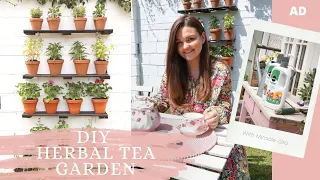 DIY Herbal Tea Garden With Miracle-Gro