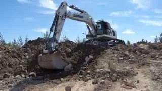 LIEBHERR R946 Mining white