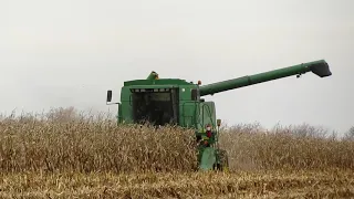 Corn Harvest 2020 | John Deere 9560 Combine Harvesting Corn | Harvest 2020