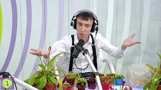 Сергей Куницын в программе "По совести Белкина" на Радио 1
