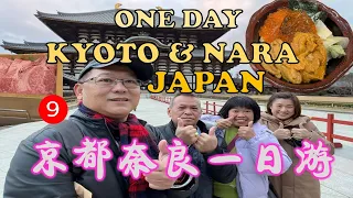 One day in Kyoto & Nara | 京都奈良一日游 | NISHIKI MARKET | FUSHIMI INARI | TODAIJI TEMPLE | GION | JR RAIL