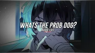 whats the prob dog ﹙wisekids﹚ // audio edit