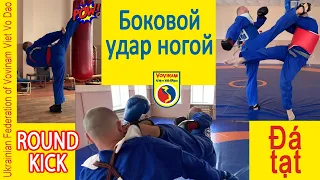 Vovinam Боковой удар ногой. Да тат. Đá tạt. Round kick Coup de pied latéral. Секреты сильного  удара