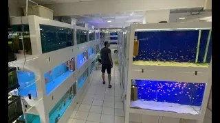 Тошкентдаги энг катта аквариум балик магазиндан бири AQUA FISH CENTER