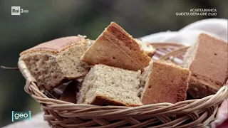 Sulla via del pane tra Garfagnana e Lunigiana - GEO 15-11-2022