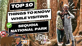Top 10 things to Know While Visiting Sequoia National Park| With a Toddler