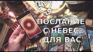 🕊️ ПОСЛАНИЕ С НЕБЕС 💌️ ОТ ЛЮБИМЫХ РОДНЫХ ДУШ ДЛЯ ВАС они хотят сказать ❤таро знаки судьбы #tarot