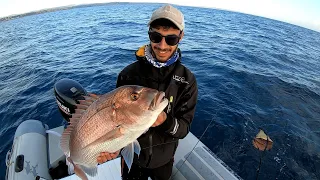 Vertical jigging Ferrata in diretta Dentice corazziere 6kg //Sepia Jlc//