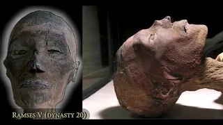 The Royal Mummies - dynasty 20