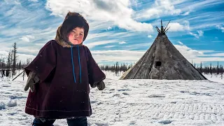 How Nenets and Khanty people raise their children. The life of little reindeer herders | Facts