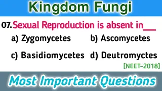 fungi mcq || classification of fungi || biological classification mcq