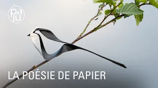 Origamiste, Jonathan reproduit les animaux  qu'il épie en forêt avec du papier