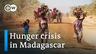 Climate change or politics? - Why Madagascar is going hungry | DW Documentary