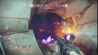 D2 - the most blueberry thing