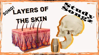 Layers of the Skin SONG - Epidermis Dermis Hypodermis -Study Songz