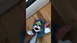 Tom and Jerry plush adventures season 1 episode 1  The pilot