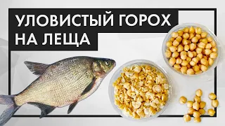 УЛОВИСТЫЙ ГОРОХ. Как правильно приготовить горох нут для рыбалки на ЛЕЩА, КАРПА и КАРАСЯ