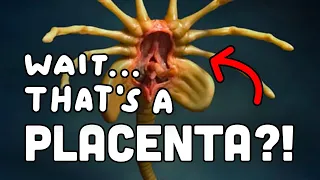 The SCARY Truth About Placentas